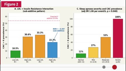 Three new modifiable correlates of coronary artery calcium beyond age and male sex: uric acid, sleep apnoea severity, and vitamin D from 34-biomarker statin-free phenotyping