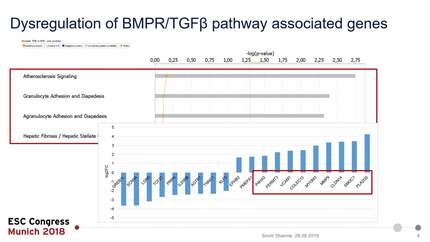 Dysregulated BMPR/TGF-beta impact fibrotic vascular remodeling during thrombosis