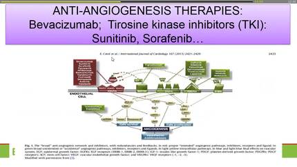 Chemotherapeutic drugs and cardiac function. The contribution of exercise to maintain physical performance.