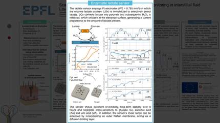 Scalable enzymatic lactate sensor for continuous monitoring in interstitial fluid