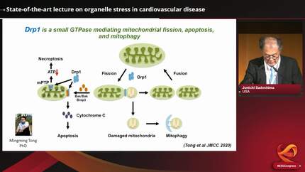 Presentation thumbnail