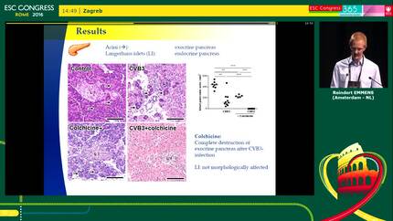 Presentation thumbnail