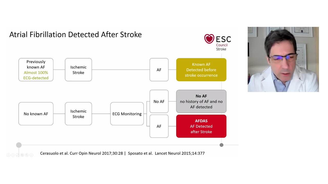 The stroke-heart syndrome: current concepts and new developments