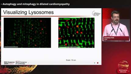 Presentation thumbnail