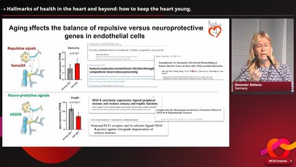 Presentation thumbnail