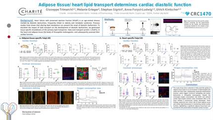 Presentation thumbnail