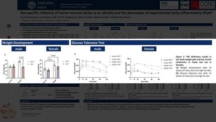Sex-specific influence of tumour necrosis factor alpha on obesity and the phenotype of experimental meta-inflammatory HFpEF
