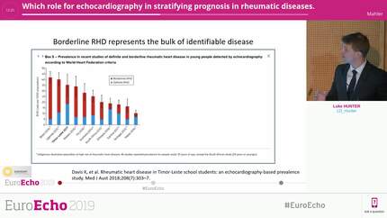 Which role for echocardiography in stratifying prognosis in rheumatic diseases.