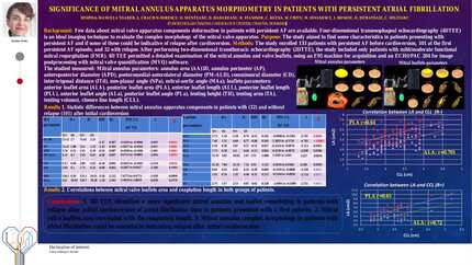 Significance of mitral annulus apparatus morphometry in patients with persistent atrial fibrillation 