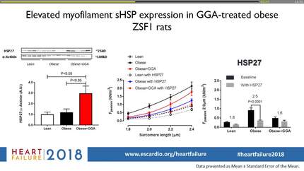 Boosting small heat shock proteins lowers cardiomyocyte passive stiffness in experimental heart failure with preserved ejection fraction