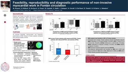 Feasibility, reproducibility and diagnostic performance of non-invasive myocardial work in Fontan circulation