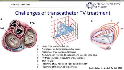 Presentation thumbnail