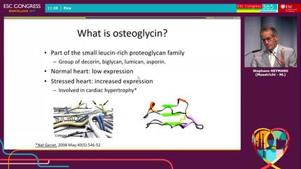 Presentation thumbnail