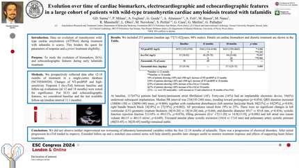 Evolution over time of cardiac biomarkers, electrocardiographic and echocardiographic features in a large cohort of patients with wild-type transthyretin cardiac amyloidosis treated with tafamidis