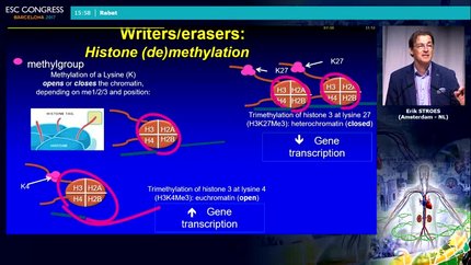 Presentation thumbnail