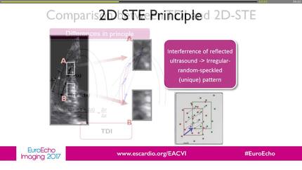Presentation thumbnail
