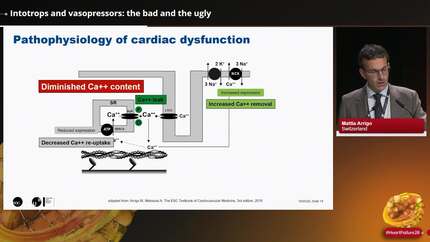Presentation thumbnail