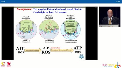 Presentation thumbnail