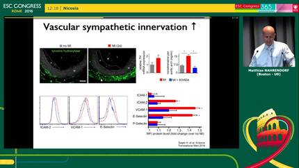 Presentation thumbnail
