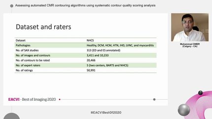 Assessing automated CMR contouring algorithms using systematic contour quality scoring analysis