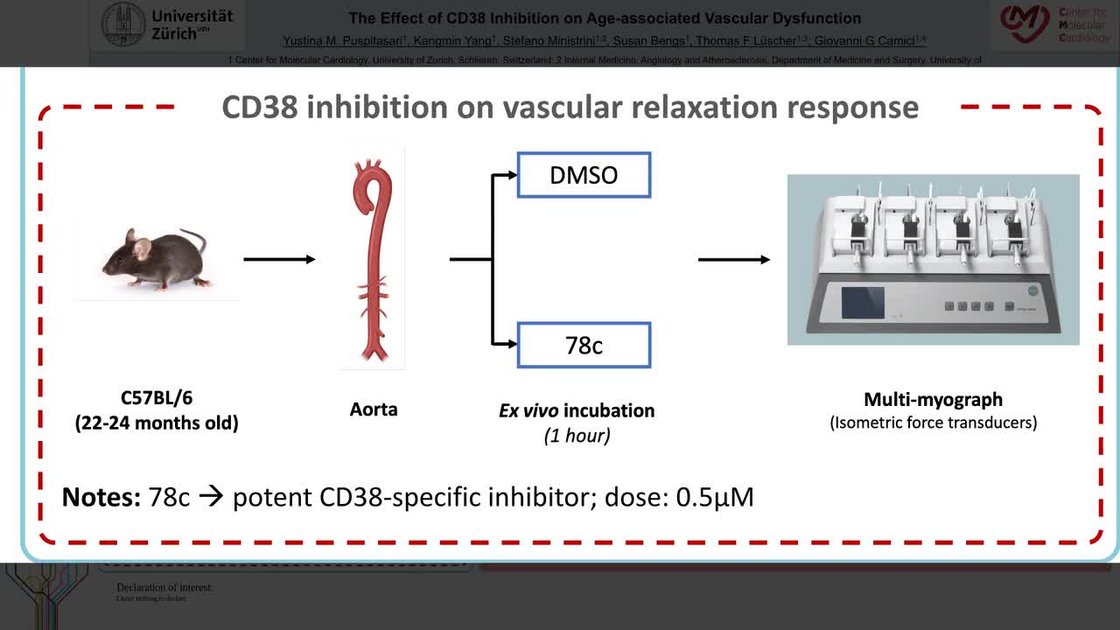 ESC 365 - The effect of CD38 inhibition in age-associated vascular ...