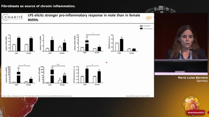 Fibroblasts as source of chronic inflammation.