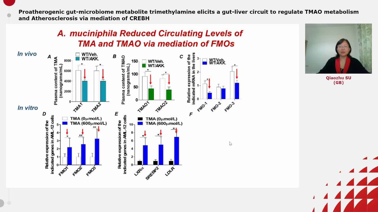 Proatherogenic gut-microbiome metabolite trimethylamine elicits a gut-liver circuit to regulate TMAO metabolism and Atherosclerosis via mediation of CREBH 