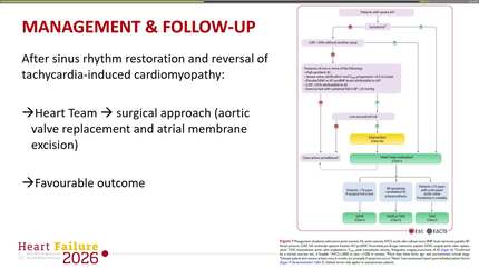 Unmasking complex congenital lesions in the context of acute heart failure