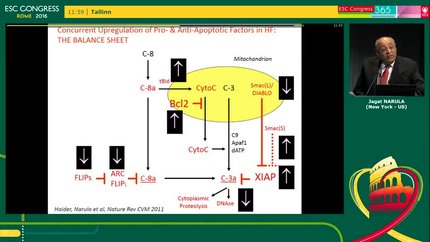 Presentation thumbnail