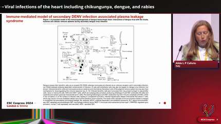 Presentation thumbnail