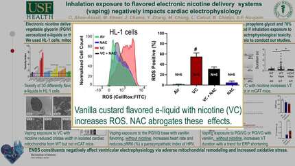 Presentation thumbnail