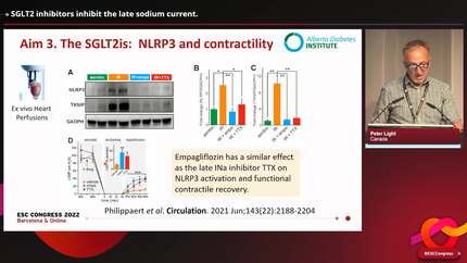 How do SGLT2 inhibitors act in heart failure?