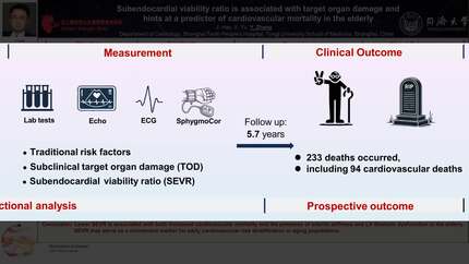 Subendocardial viability ratio is associated with hypertension-mediated organ damage and hints at a potential independent predictor of cardiovascular death in the elderly: a prospective cohort study
