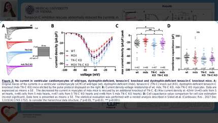 Presentation thumbnail