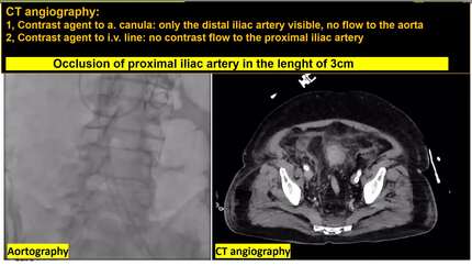 Presentation thumbnail