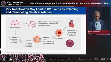 Unmasking viral triggers: adult immunisation and the mechanisms of cardiovascular risk - a case-based exploration