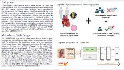 Presentation thumbnail