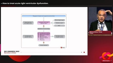 Acute right ventricular dysfunction: how to assess and treat it
