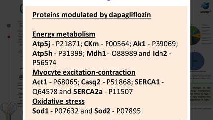 Presentation thumbnail