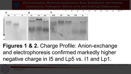 Presentation thumbnail