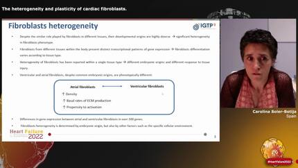 Myocardial fibrosis in heart failure is more than just a scar