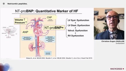 Presentation thumbnail