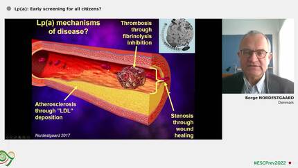 Presentation thumbnail