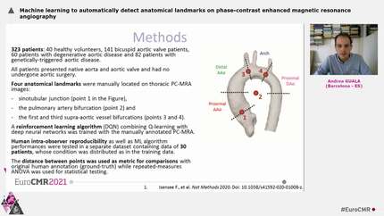 Machine learning to automatically detect anatomical landmarks on phase-contrast enhanced magnetic resonance angiography