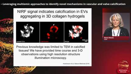 Presentation thumbnail