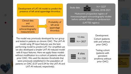 Presentation thumbnail