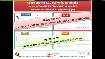 Salt: update on impact of salt on CVD burden and global initiatives to lower salt intake.