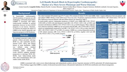 Left bundle branch block in hypertrophic cardiomyopathy: marker of a more severe phenotype and worse outcome