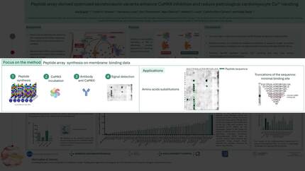 Presentation thumbnail