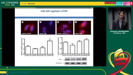 Presentation thumbnail